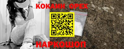 Альфа ПВП Новодвинск