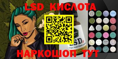 Альфа ПВП Новодвинск