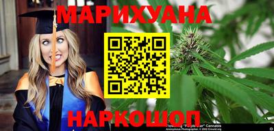 гидра Новозыбков