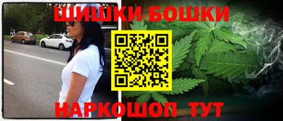 гидра Новозыбков
