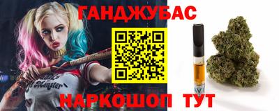 Альфа ПВП Новодвинск