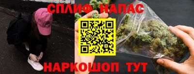 гидра Новозыбков