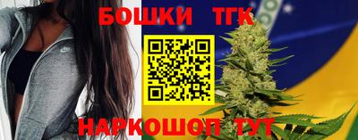 гидра Новозыбков