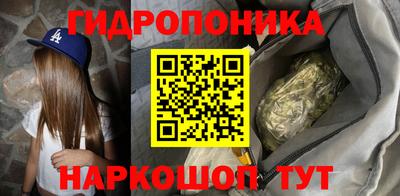 Альфа ПВП Новодвинск