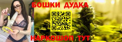 гидра Новозыбков