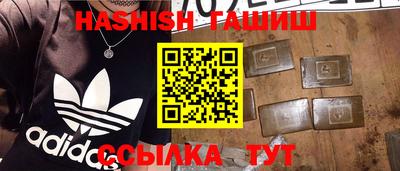гидра Новозыбков