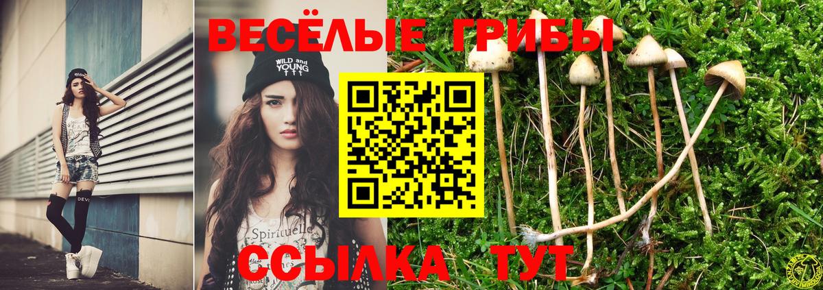Галлюциногенные грибы Cubensis  Вход с VPN  наркошоп  Обь 